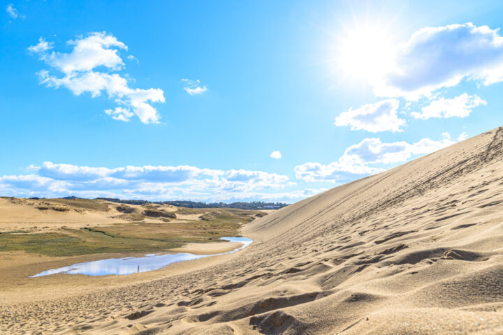 鳥取県でキャッシング・融資はライフサポート・ピースへの画像