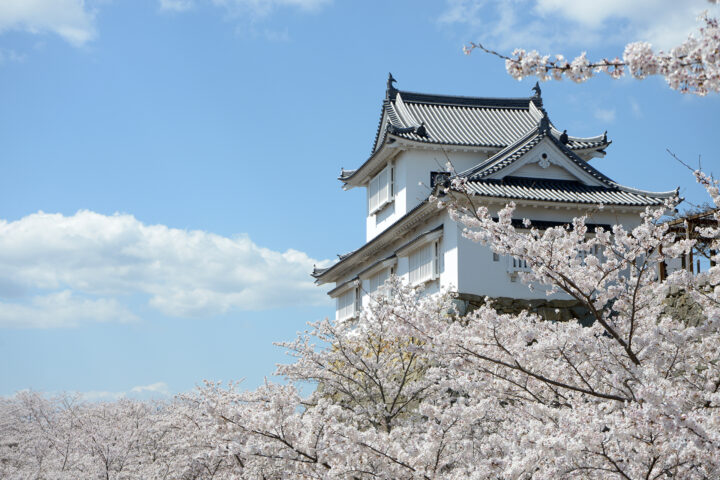 岡山県でキャッシング・融資はライフサポート・ピースへの画像